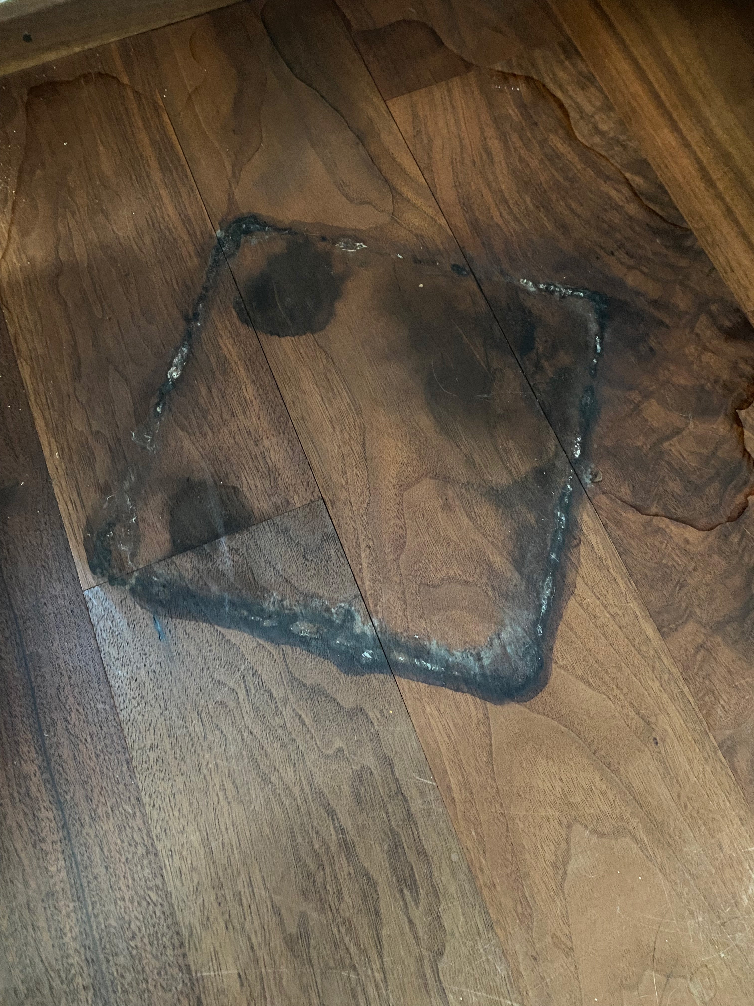 Bilder aus der Praxis